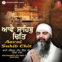 Dukhbhanjan Tera Naam Bhai Raavinder Jeet Singh Ji (Delhi Wale) Song Download Mp3