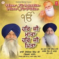 Tu Mera Pita Tu Hai Mera Mata Bhai Tejinder Singh Ji (Shimla Wale) Song Download Mp3