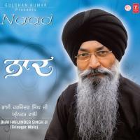 Maai Main Dhan Payo Har Naam Bhai Harjinder Singh Ji (Srinagar Wale) Song Download Mp3