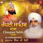 Chaupai Sahib Paath Prof. Satnam Singh Sethi Song Download Mp3