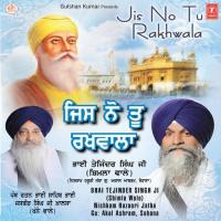 Jis Nu Too Rakhwala Bhai Tejinder Singh Ji (Shimla Wale) Song Download Mp3