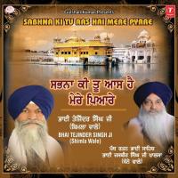 Sabhna Ki Tu Aas Hai Mere Pyare Bhai Tejinder Singh Ji (Shimla Wale) Song Download Mp3