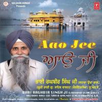 Har Charan Saran Gobind Bhai Raghbir Singh Ji Usa Song Download Mp3