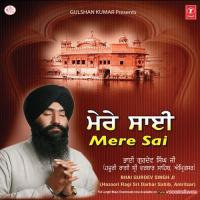 Tum Karho Daya Mere Sai Bhai Gurdev Singh Ji (Hazoori Ragi Sri Darbar Sahib,Amritsar) Song Download Mp3