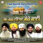 Sukhmani Sukh Amrit Prabh Naam Bhai Satvinder Singh Ji,Bhai Harvinder Singh Ji (Delhi Wale) Song Download Mp3