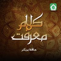 Meri Zindagi Ka Hasil Hafiz Abu Bakar Song Download Mp3