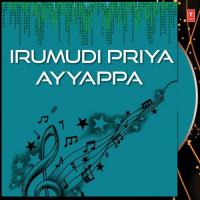 Pampaanadiyali Mindu Vishnu Song Download Mp3