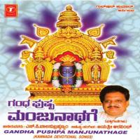 Hagalirulu Uruluruli S.P. Balasubrahmanyam Song Download Mp3