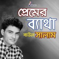 Tumi Amar Sokol Valobasha Baul Salam Song Download Mp3