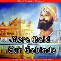 Satgur Hoye Dayal Tan Sharda Bhai Gurmail Singh Darbar Sahib Wale Song Download Mp3