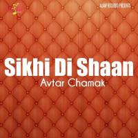 La Lai Jina Marzi Zor Avtar Chamak Song Download Mp3