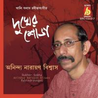 Tomay Notun Kore Pabo Bole Anindya Narayan Biswas Song Download Mp3