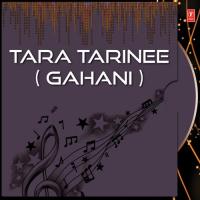 Tara Tarini Various Artists Song Download Mp3