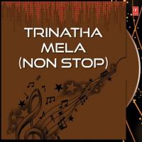 Trinatha Mela Various Artists Song Download Mp3