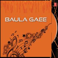 Baula Gaee Various Artists Song Download Mp3