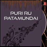 Puri Ru Patamundai Various Artists Song Download Mp3