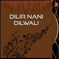 Dilir Nani Dilwali Various Artists Song Download Mp3