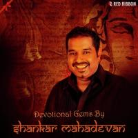 Hari Om Namah Shivaya Shankar Mahadevan,Sumeet Tappoo Song Download Mp3