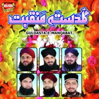 Haq Wali Naubat Wali Zeeshan Qadri Song Download Mp3