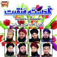 Mere Shafee Okarvi Sheraz Qadri Song Download Mp3