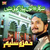 Aamna Da Chan Hamza Saleem Naqshbandi Song Download Mp3