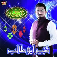 Mujhpe Bhi Chashm E Karam Shabbir Abu Talib Song Download Mp3