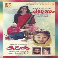 Paalaazhi Various Artists Song Download Mp3