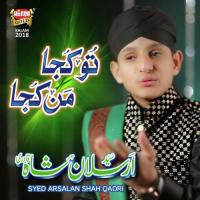 Tu Kuja Mann Kuja Syed Arsalan Shah Qadri Song Download Mp3