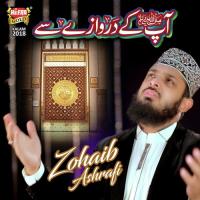 Apkay Darwazay Se Zohaib Ashrafi Song Download Mp3