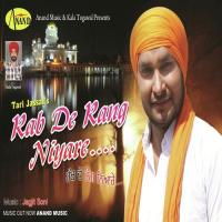 Rabb De Rang Niyare Tari Jassal Song Download Mp3