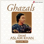 Tere Mere Pyar Ka Ustad Aslam Khan Song Download Mp3