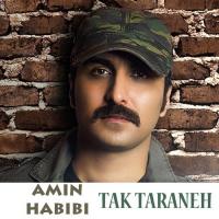 Mohkam Begiram Amin Habibi Song Download Mp3