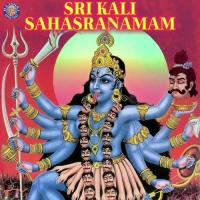 Shri Kali Mata Chalisa Ketaki Bhave-Joshi Song Download Mp3