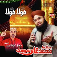 Nadey Ali Hafiz Muhammad Ali Soharwardi,Yaqoob Ibrahim Song Download Mp3