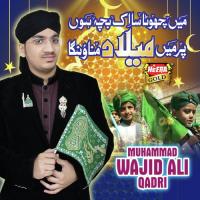 Main Chota Sa Ek Bacha Hon Muhammad Wajid Ali Qadri Song Download Mp3