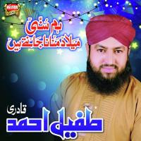 Allah Hoo Tufail Ahmed Qadri Song Download Mp3