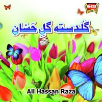 Humd Bari E Taala Ali Hassan Raza Song Download Mp3