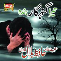 Tera Gunehgar Banda Hazrat Allama Hafiz Bilal Qadri Song Download Mp3