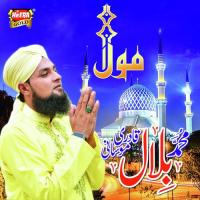 Aaye Sarkar Aye Muhammad Bilal Qadri Moosani Song Download Mp3