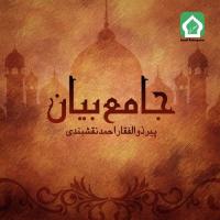 Istaghfar Ke Faide Peer Zulfiqar Ahmad Naqshbandi Song Download Mp3