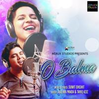 O Balma Tarique Aziz,Aseema Panda Song Download Mp3