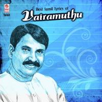 Kondayil Thazhampoo S.P. Balasubrahmanyam,K. S. Chithra Song Download Mp3