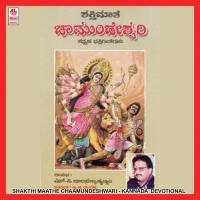 Chanchalada Chitthavanu S.P. Balasubrahmanyam Song Download Mp3