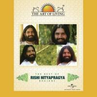 Jai Jai Radha Raman Rishi Nityapragya,Sachin Limaye Song Download Mp3