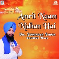 Amrit Naam Nidhan Hai Dr. Suminder Singh Song Download Mp3