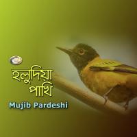 Chithi Dilam Bondhur Kache Mujib Pardeshi Song Download Mp3