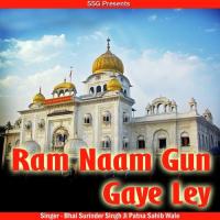 Bhaj Mann Mere Eko Naam Bhai Surinder Singh Ji-Patna Saheb Wale Song Download Mp3