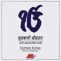 Raga Kanhra Partal Tal - Arha Chautal - Har Jas Gavho Bhagvan Bhai Swaran Singh,Bhai Baldeep Singh,Bhai Avtar Singh Ragi Song Download Mp3