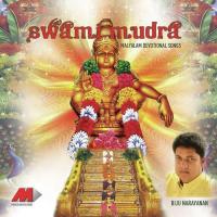 Pranava Swaroopa Biju Narayan Song Download Mp3