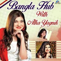 Sundari Jawle Gelo Udit Narayan,Alka Yagnik Song Download Mp3